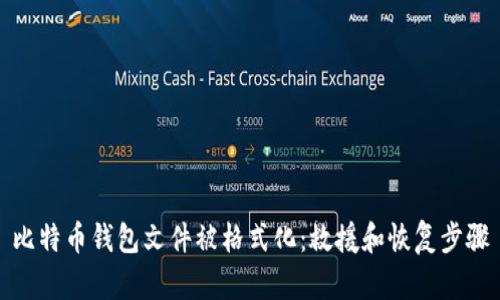 比特币钱包文件被格式化：救援和恢复步骤