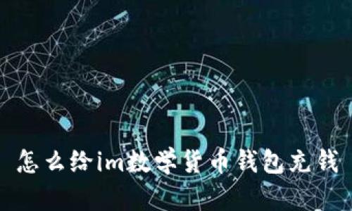 怎么给im数学货币钱包充钱