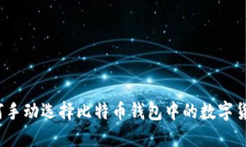 如何手动选择比特币钱包中的数字货币?