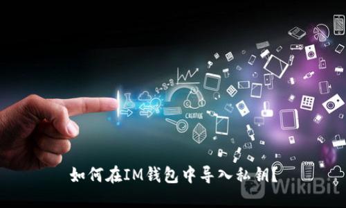 如何在IM钱包中导入私钥?