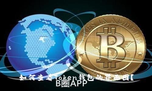 如何查看Token钱包的界面图?