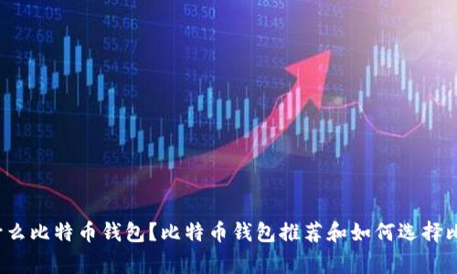 大家都用什么比特币钱包?比特币钱包推荐和如何选择比特币钱包?