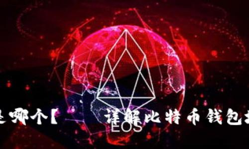 比特币钱包地址是哪个?——详解比特币钱包地址及其使用方法