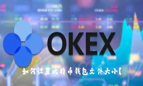 如何设置比特币钱包文件大小?