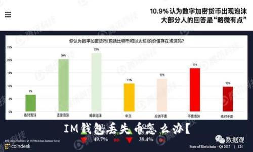IM钱包丢失币怎么办?