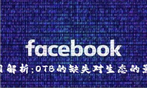 : Tokenim项目解析：OTB的缺失对生态的影响与未来展望