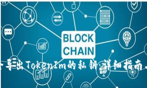 : 如何安全导出TokenIm的私钥：详细指南与注意事项