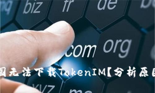 为什么在中国无法下载TokenIM？分析原因及解决方案