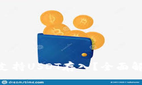 Tokenim是否支持USDT存入？全面解析与用户指南