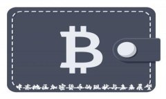 中东地区加密货币的现状与未来展望