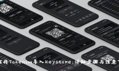 如何将Tokenim导入Keystore：