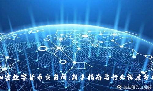 加密数字货币交易所：新手指南与行业深度分析