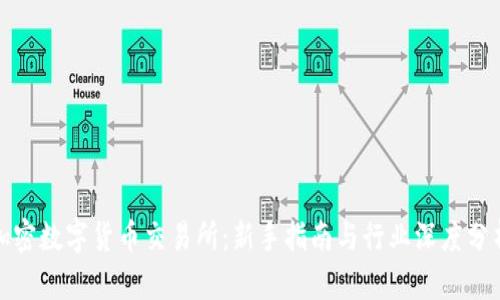 加密数字货币交易所：新手指南与行业深度分析
