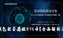 Tokenim钱包能否存放BTC币？全面解析与使用指南
