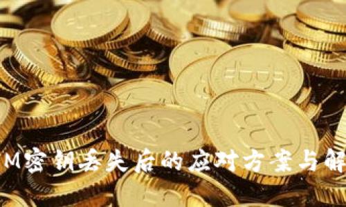 TokenIM密钥丢失后的应对方案与解决措施