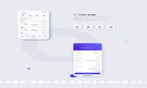 全面解析：中国加密货币监控系统的现状与未来