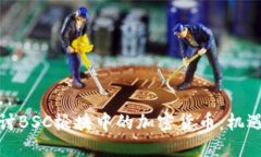深入探讨BSC板块中的加密货币：机遇与风险