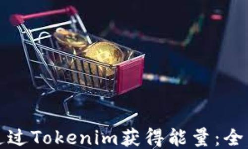 
如何通过Tokenim获得能量：全面指南