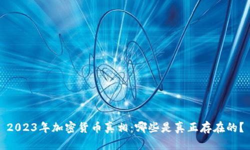 2023年加密货币真相：哪些是真正存在的？