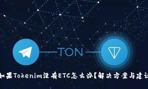 如果Tokenim没有ETC怎么办？解决方案与建议