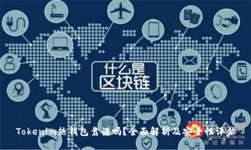 Tokenim热钱包靠谱吗？全面解析及安全性评估