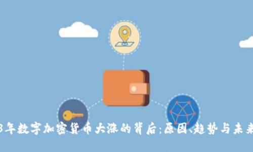 2023年数字加密货币大涨的背后：原因、趋势与未来展望