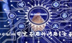 如何解决Tokenim带宽不足的