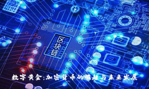 数字黄金：加密货币的崛起与未来发展