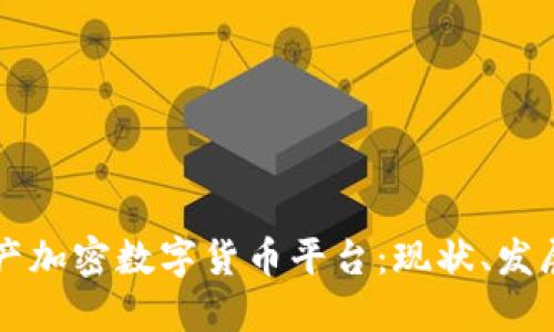 中国国产加密数字货币平台：现状、发展与未来