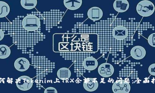如何解决Tokenim上TRX余额不足的问题：全面指南