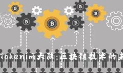 深入解析Tokenim大陆：区块