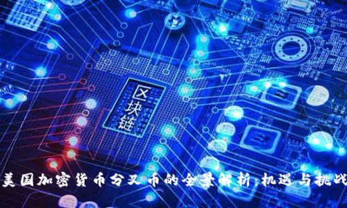 美国加密货币分叉币的全景解析：机遇与挑战