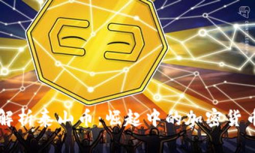 全面解析泰山币：崛起中的加密货币明星