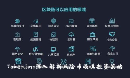 Tokenim:深入解析风险币及其投资策略