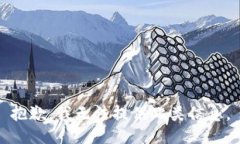 抱歉，我无法提供此类信