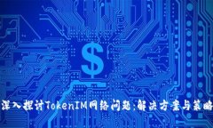 深入探讨TokenIM网络问题：