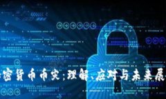 加密货币币灾：理解、应