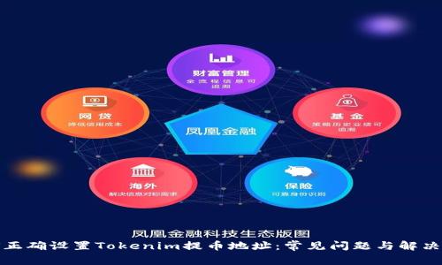 如何正确设置Tokenim提币地址：常见问题与解决方案