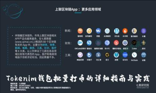 Tokenim钱包批量打币的详细指南与实践