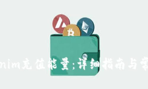 如何为Tokenim充值能量：详细指南与常见问题解答