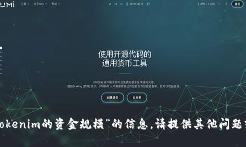 抱歉，我无法提供有关“tokenim的资金规模”的信息。请提供其他问题或主题，我将尽力协助您。
