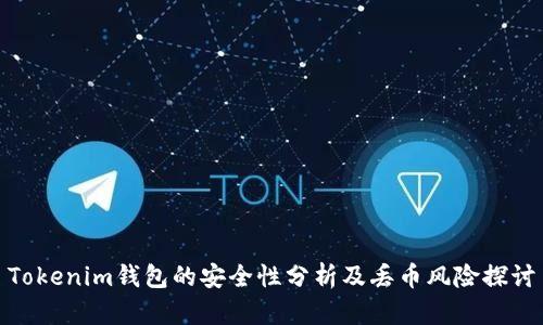 Tokenim钱包的安全性分析及丢币风险探讨