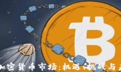 孟买的加密货币市场：机