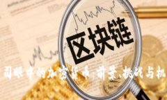 公司眼中的加密货币：前