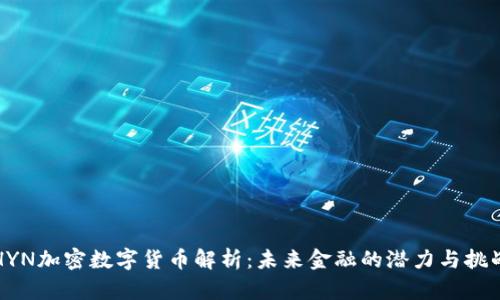 HYN加密数字货币解析：未来金融的潜力与挑战