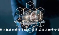 柚子数字加密货币概述：