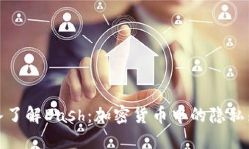 深入了解Dash：加密货币中的隐私先锋