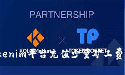 如何在Tokenim平台充值少量矿工费？详细指南