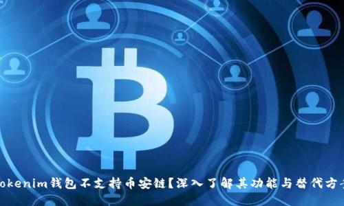 Tokenim钱包不支持币安链？深入了解其功能与替代方案