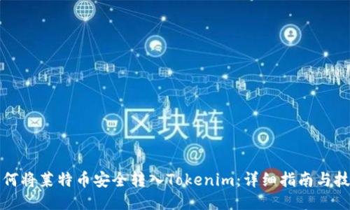 如何将莱特币安全转入Tokenim：详细指南与技巧